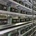 A solar-powered mining farm nestled in a desert landscape, showcasing sustainable energy solutions.