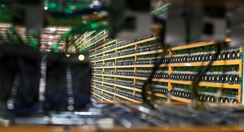 Large-scale mining farm with cooling system